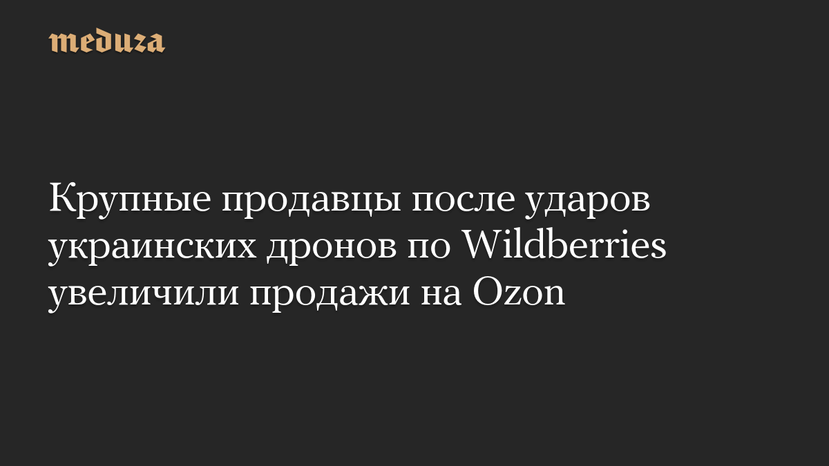 Крупные продавцы после ударов украинских дронов по Wildberries увеличили продажи на Ozon